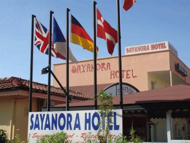 Billede av hotellet Sayanora Hotel - nummer 1 af 38