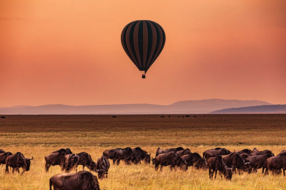 Billede af Maasai Mara National Reserve 