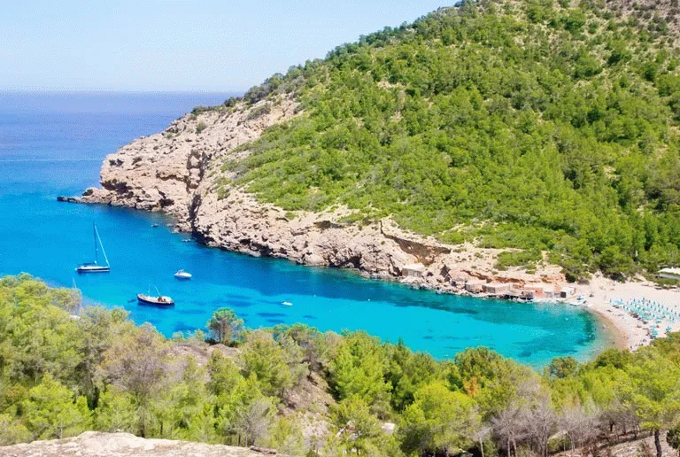 Billede af Port de Sant Miquel