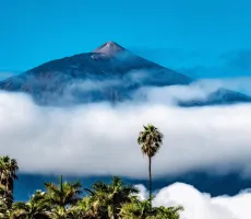 Charmerende, varierede Tenerife