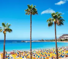 De bedste tilbud til 10 populære feriesteder på Gran Canaria