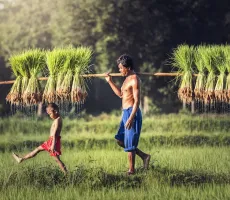 Thailand er blevet mere eksotisk