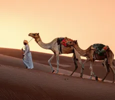 Afrika på tæt hold