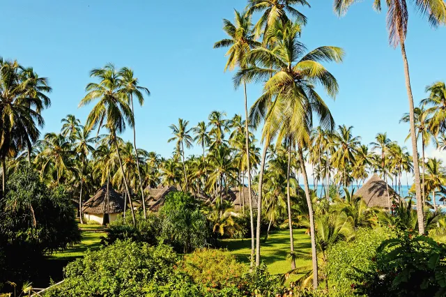 Billede av hotellet Ocean Paradise Resort & Spa - nummer 1 af 27