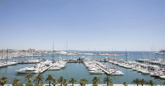 Billede av hotellet Melia Palma Marina - nummer 1 af 10