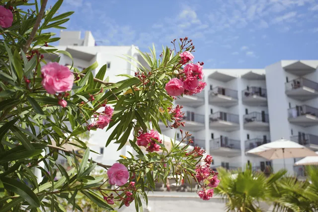 Billede av hotellet FERGUS Bermudas - nummer 1 af 43