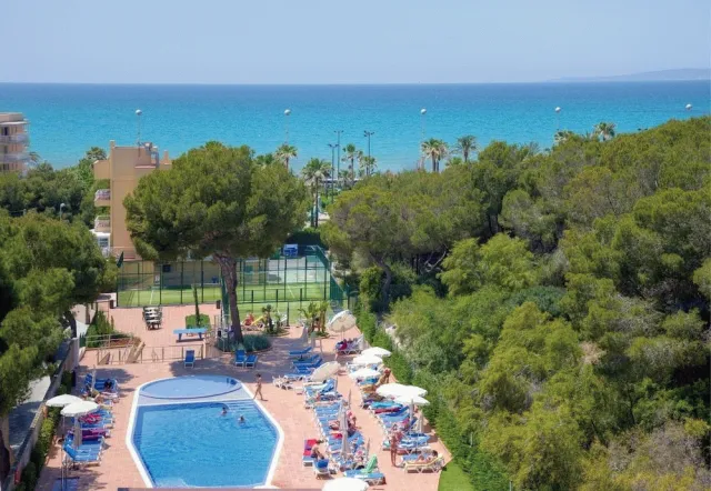 Billede av hotellet Hotel Timor - nummer 1 af 10