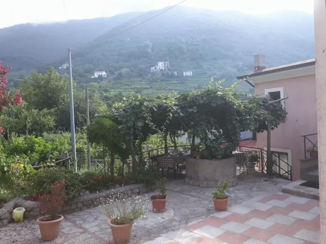 Billede av hotellet Agriturismo Mare e Monti - nummer 1 af 10