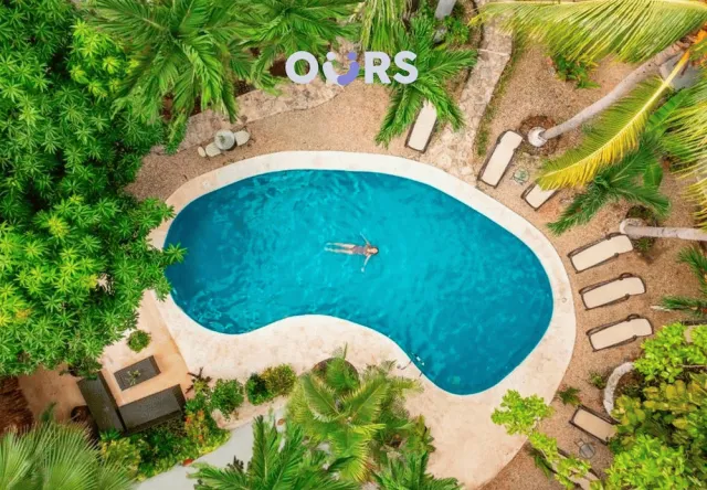 Billede av hotellet Hotel Hacienda Paradise - nummer 1 af 44