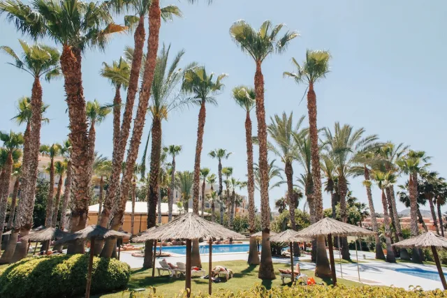 Billede av hotellet Hotel Alicante Golf - nummer 1 af 59