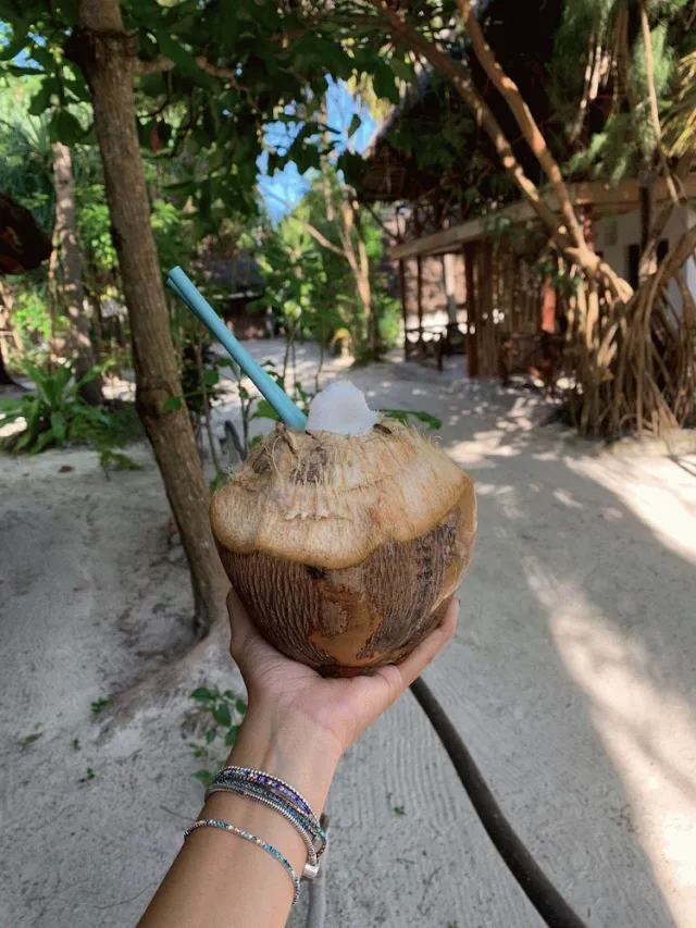 Billede av hotellet Eden Paradise Zanzibar - nummer 1 af 100