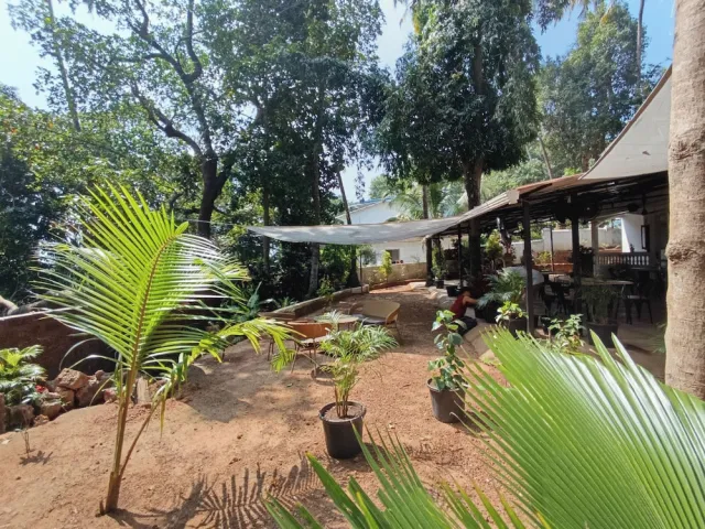 Billede av hotellet Jangala Resort - nummer 1 af 67