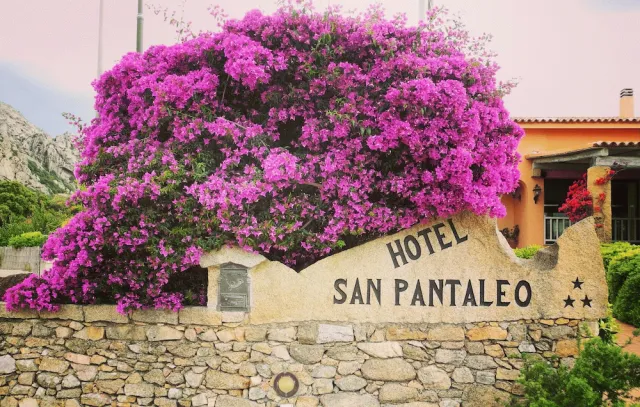 Billede av hotellet Hotel San Pantaleo - nummer 1 af 31