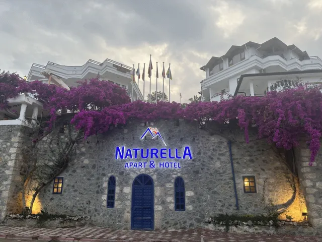 Billede av hotellet Naturella Apart Hotel - nummer 1 af 100