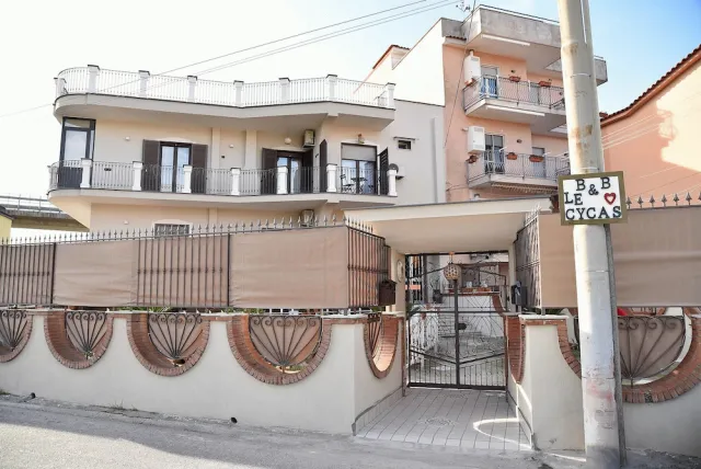 Billede av hotellet B&B Le Cycas - nummer 1 af 82