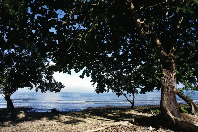 Billede av hotellet Koh Chang Privilege - nummer 1 af 10