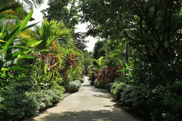 Billede av hotellet Rainforest Resort Phu Quoc - nummer 1 af 10