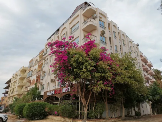 Billede av hotellet Golden Rose Hotel - nummer 1 af 10
