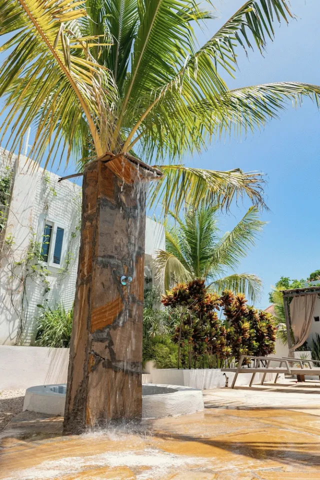 Billede av hotellet Cactus Lodge Zanzibar - nummer 1 af 24