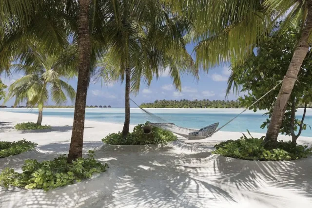 Billede av hotellet Naladhu Private Island Maldives - nummer 1 af 10