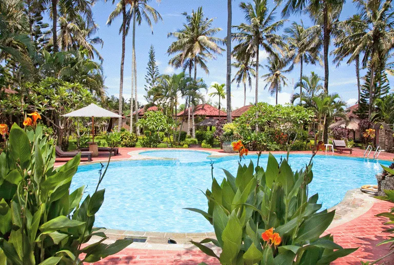 Pool mellem palmer  - fra et af de mange hoteller på Lombok 