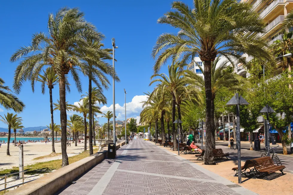 Den lange strandpromenade med palmer i El Arenal 