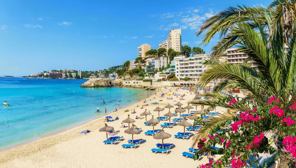I Cala Mayor kan du bo på stranden med kort vej til Palma by 