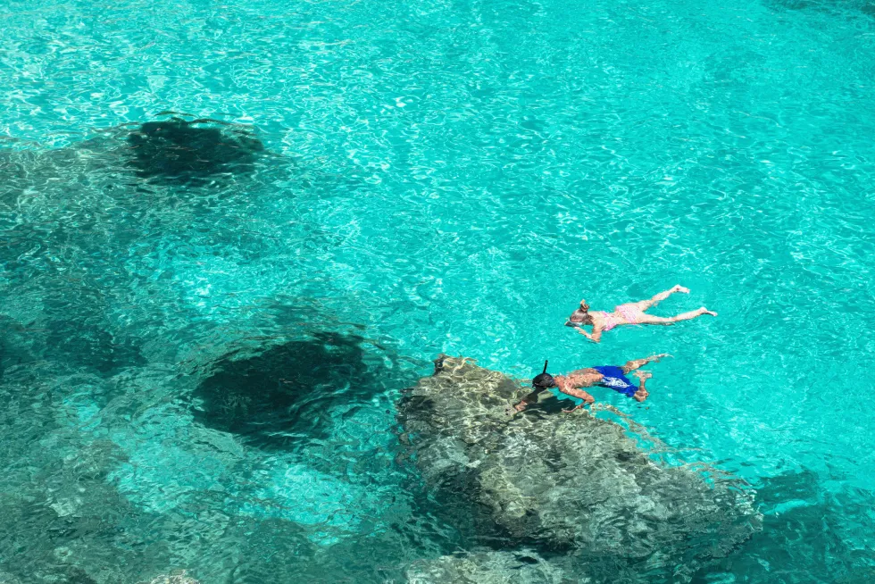 Snorkling i det krystalklare vand er en populær aktivitet i Cala Vinyes 