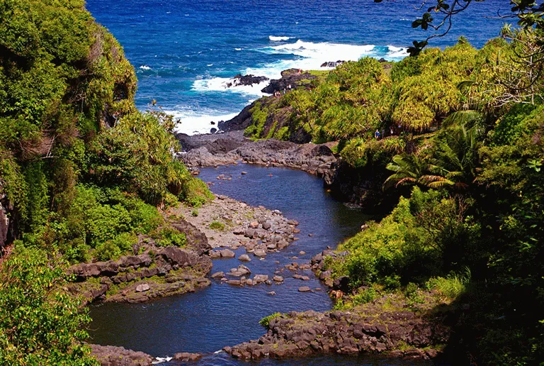 Billede af Maui 